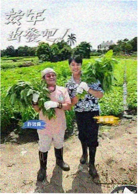 肖申克的救赎 - 星辰影视大全